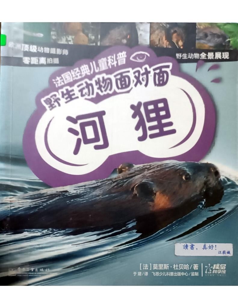 野生动物面对面 - 河狸