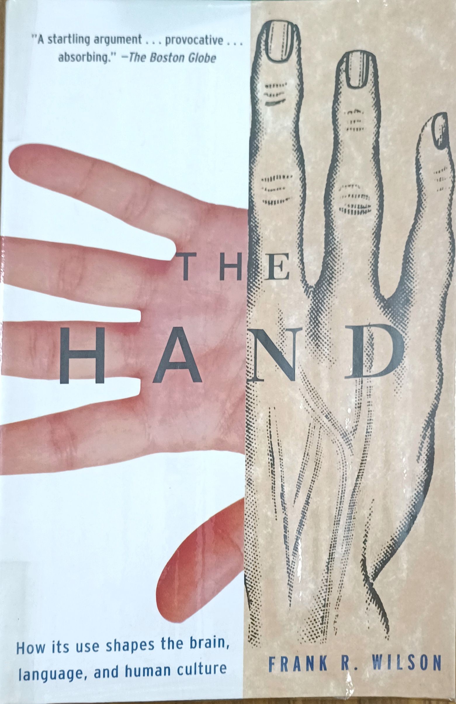 The Hand