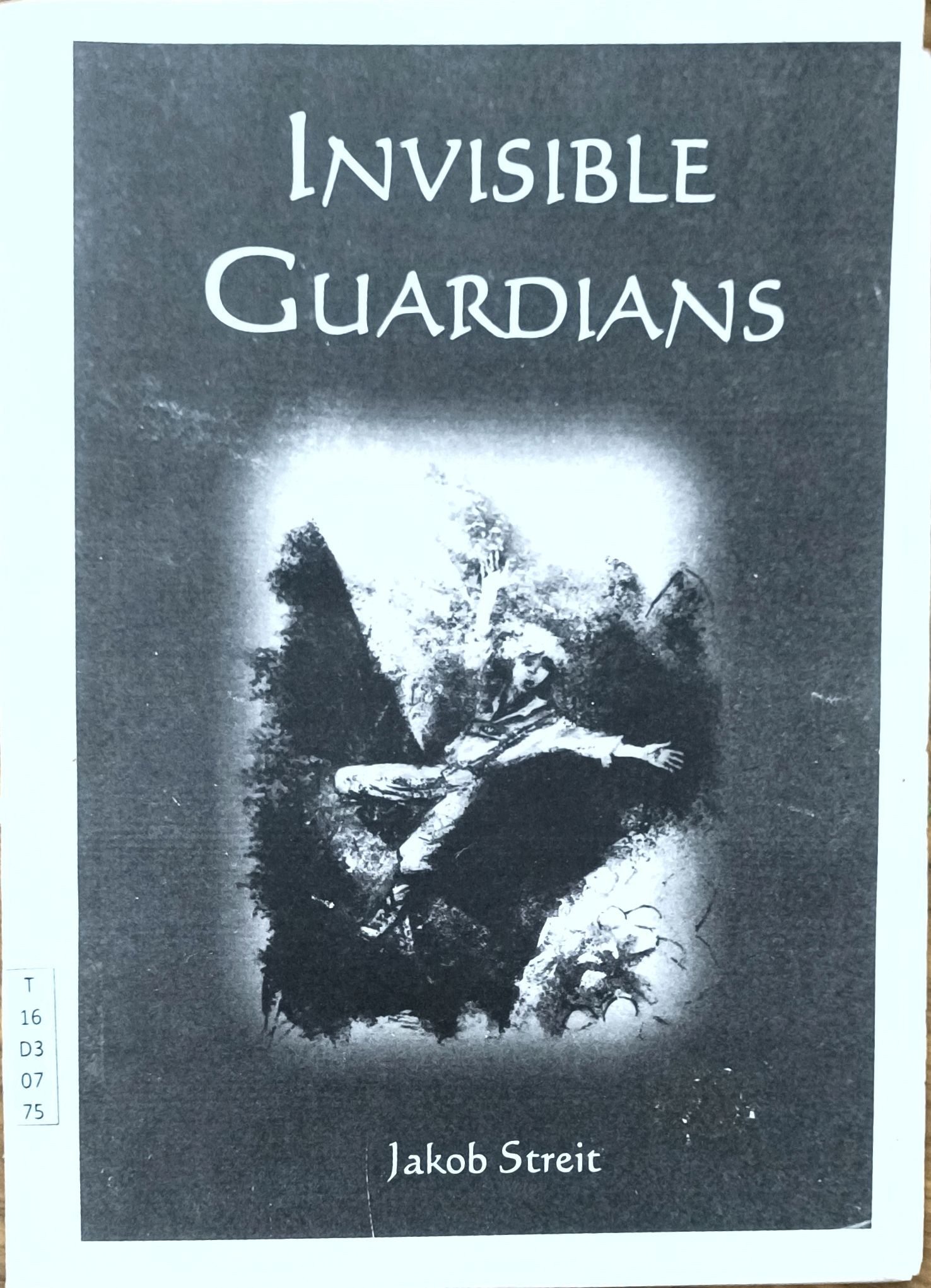 Invisible Guardians