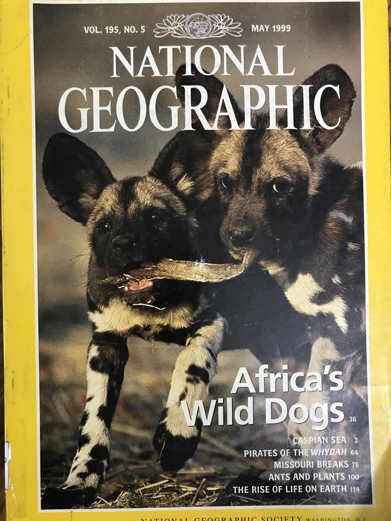 National Geographic - Africa's Wild Dog