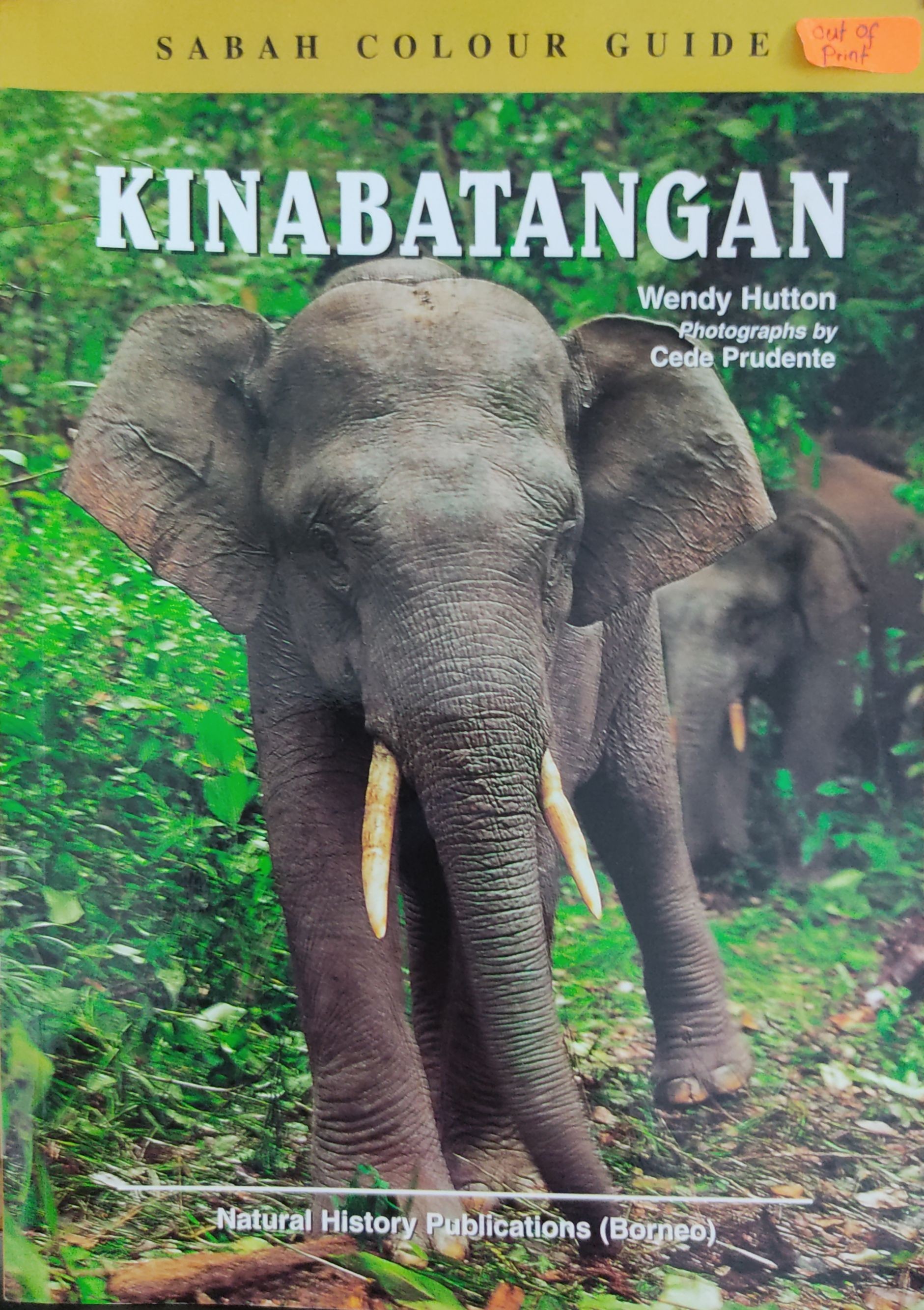 Sabah Colour Guide: Kinabatangan