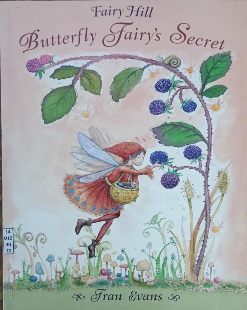 Butterfly Fairy's Secret