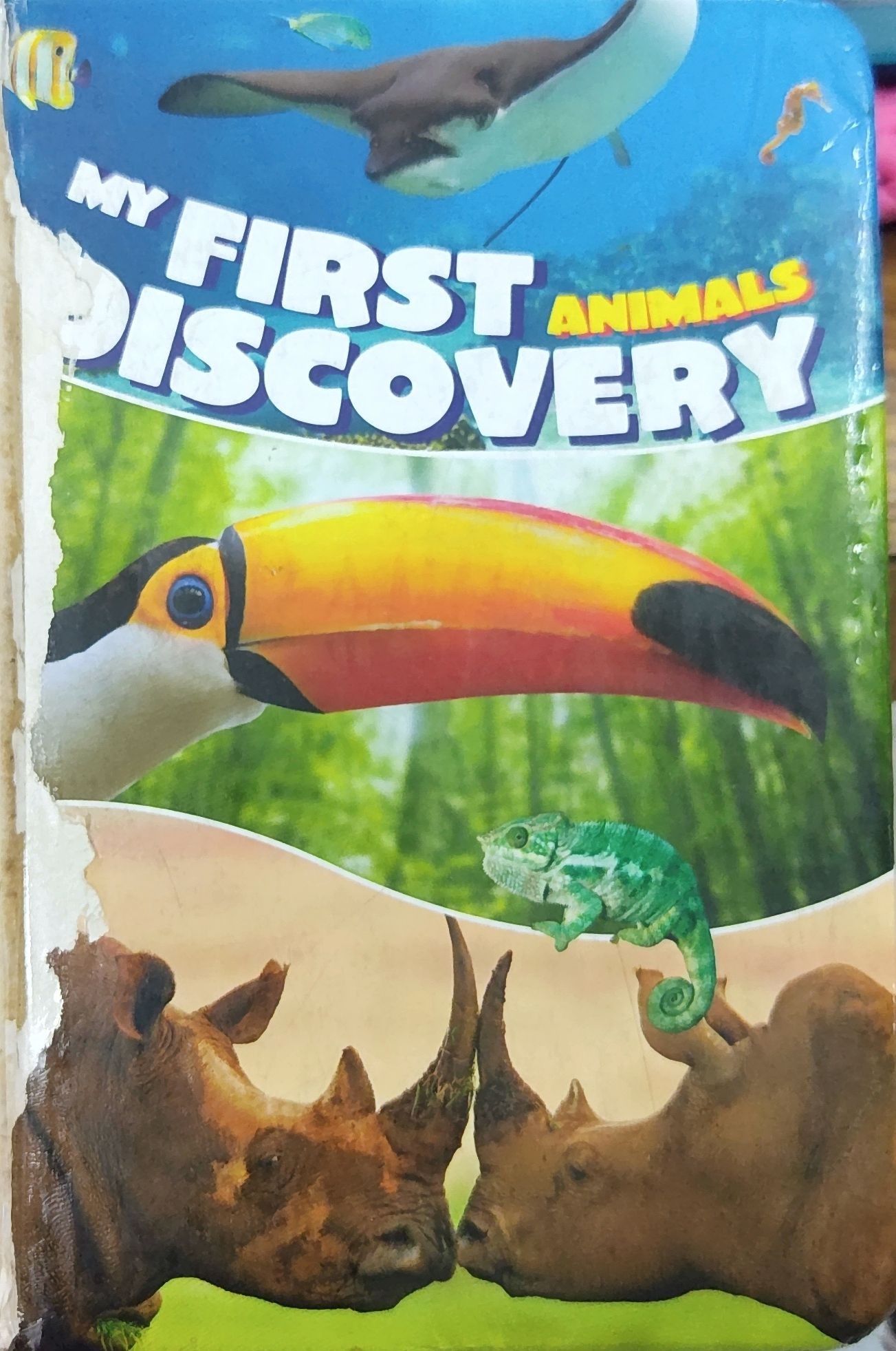My First Animals Discovery