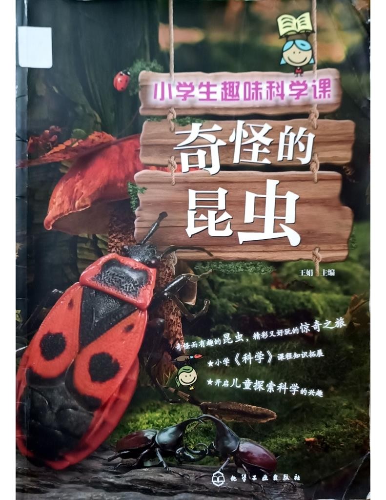 奇怪的昆虫