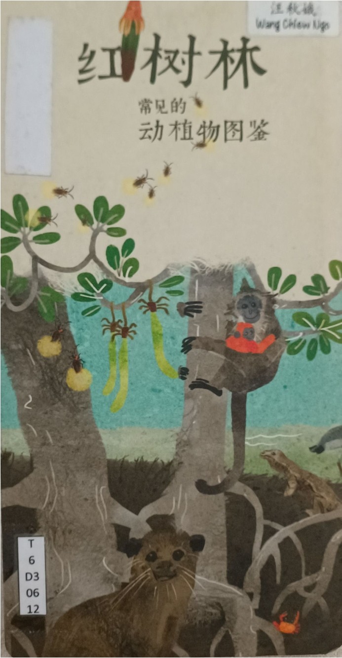 红树林常见的动植物图鉴