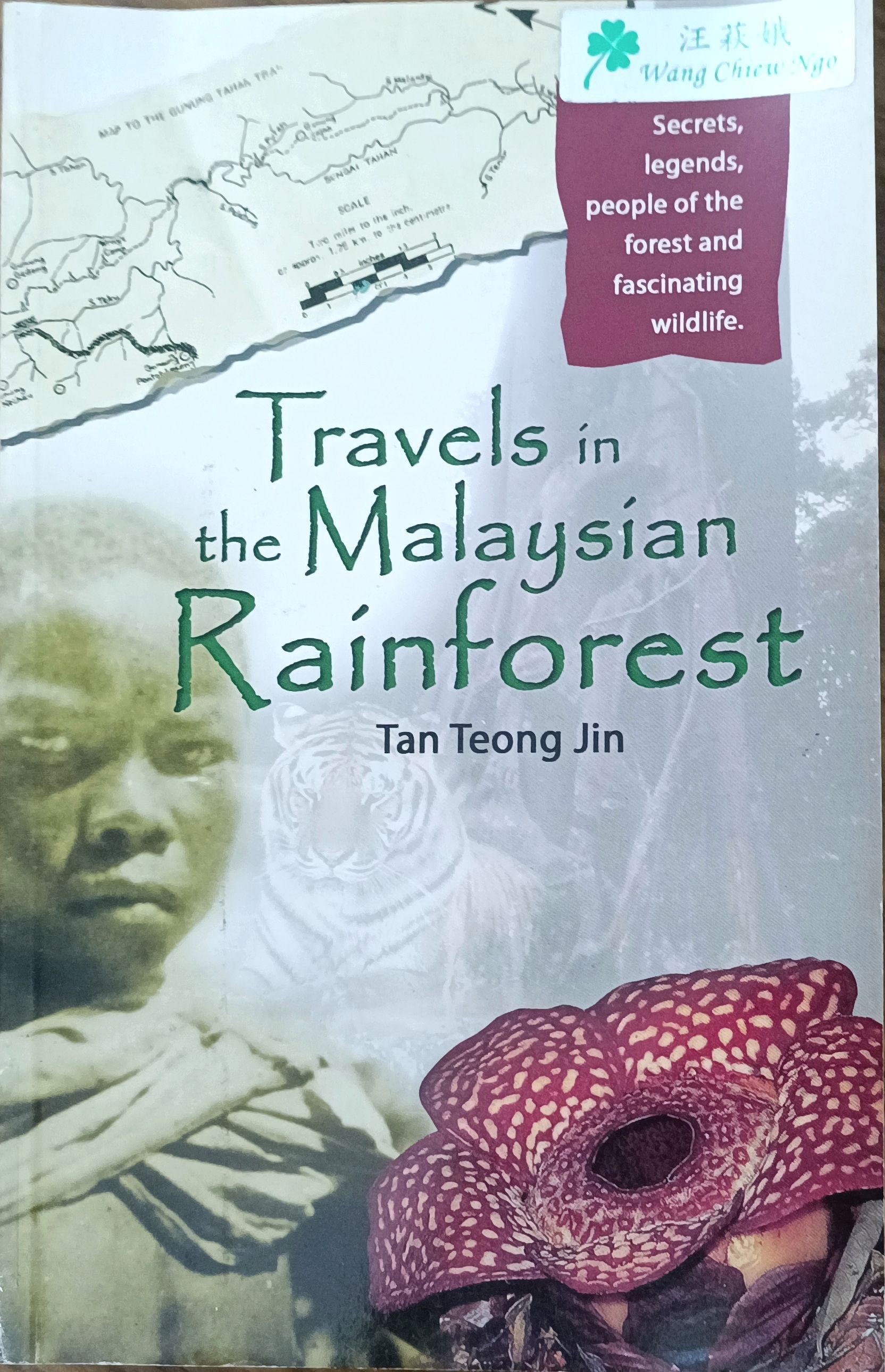 Travels in the Malaysian Rainforest