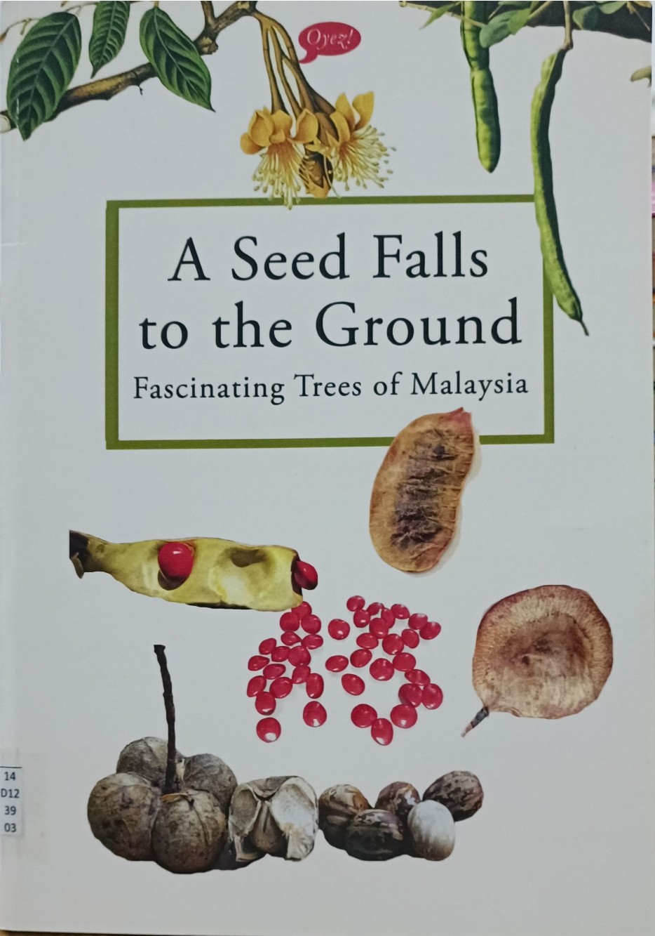 A Seed Falls to the Ground (Fascinating Trees of Malaysia)