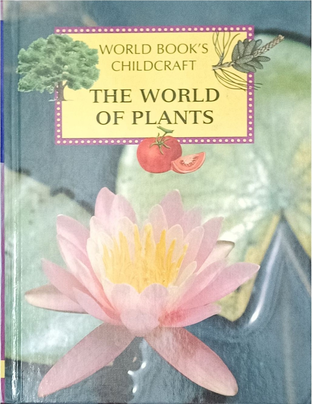 The World Of Plants 5 (World Book's Childcraft)