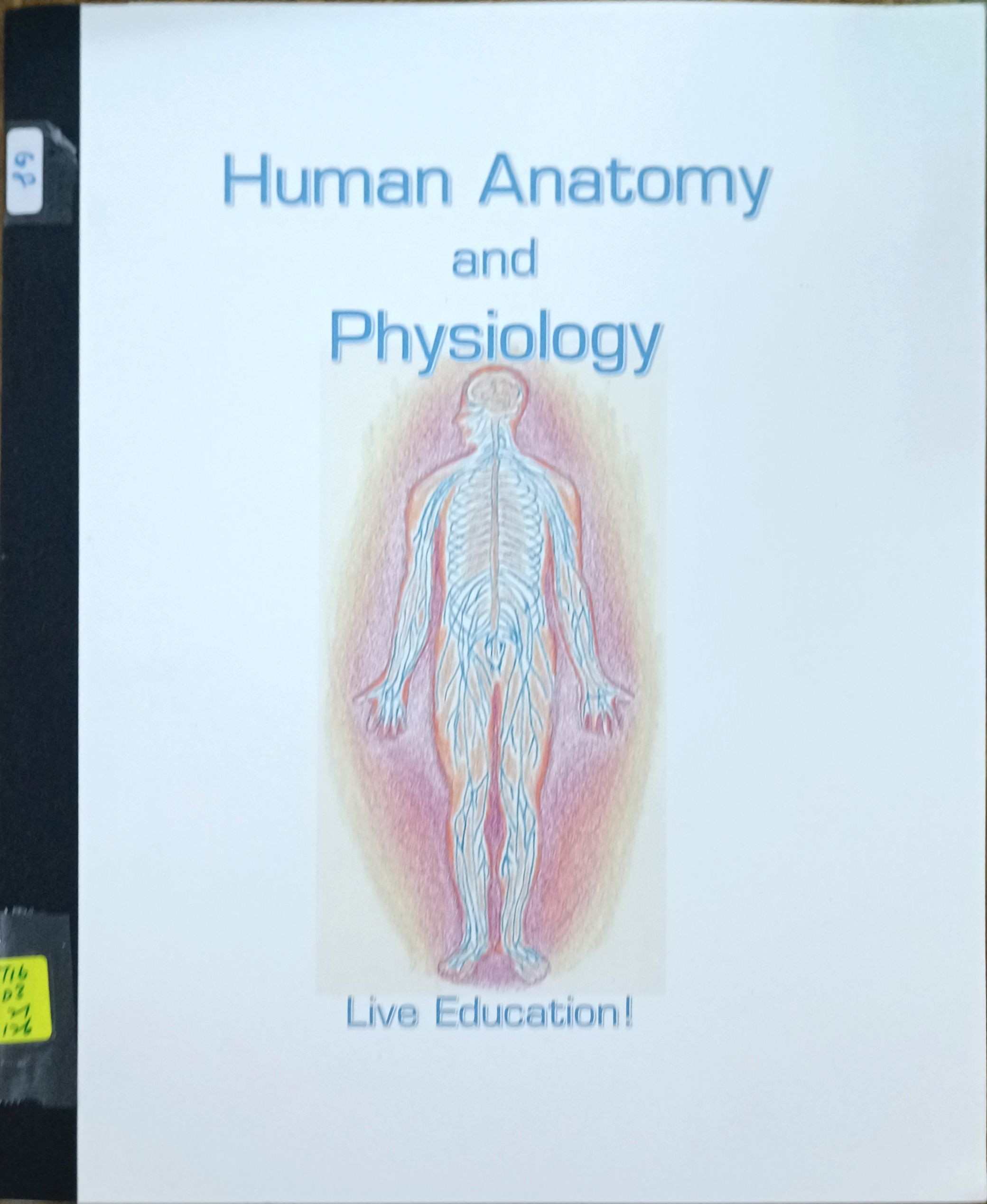 Human Anatomy and Physiology