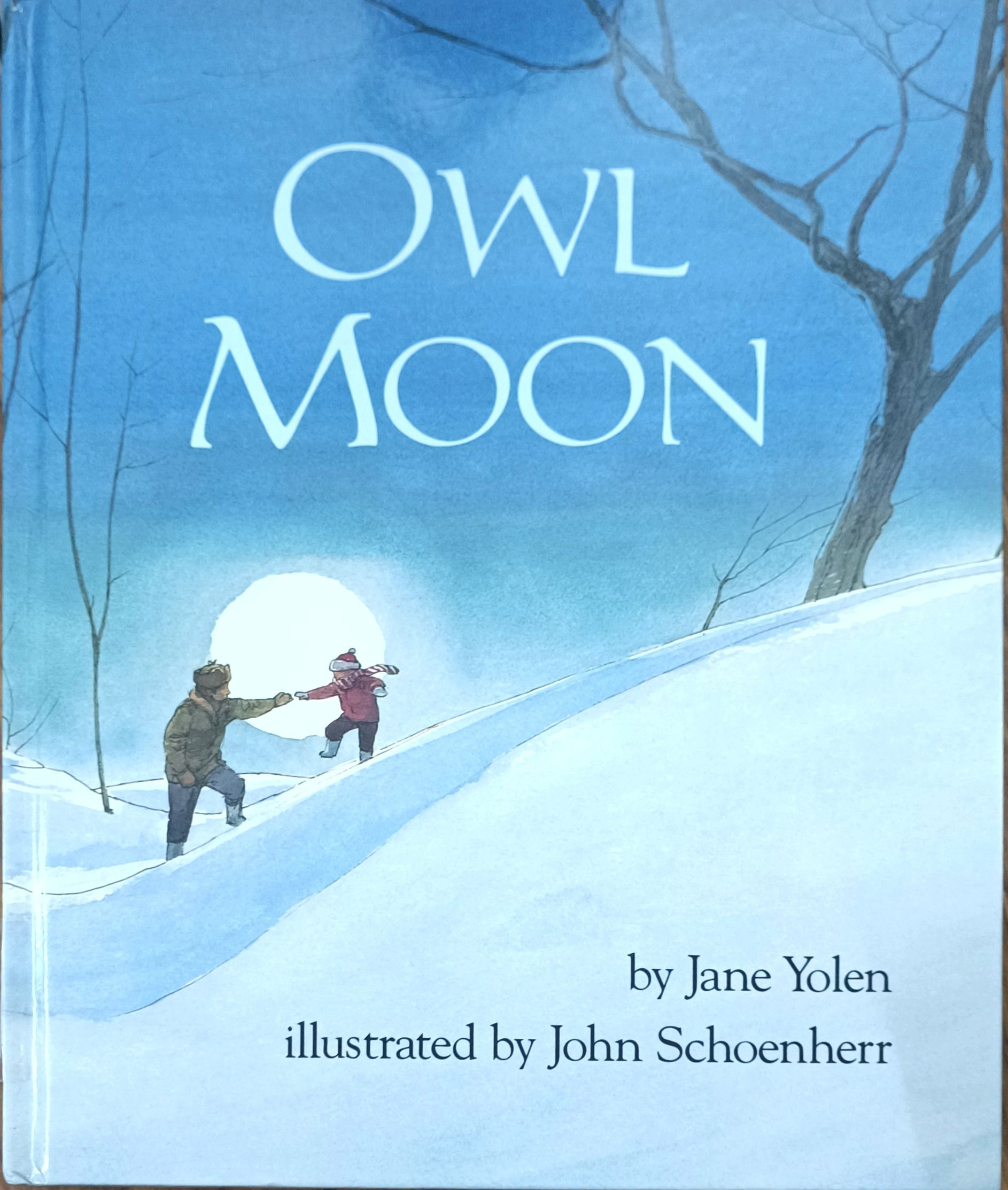 Owl Moon (FIAR Vol.2)