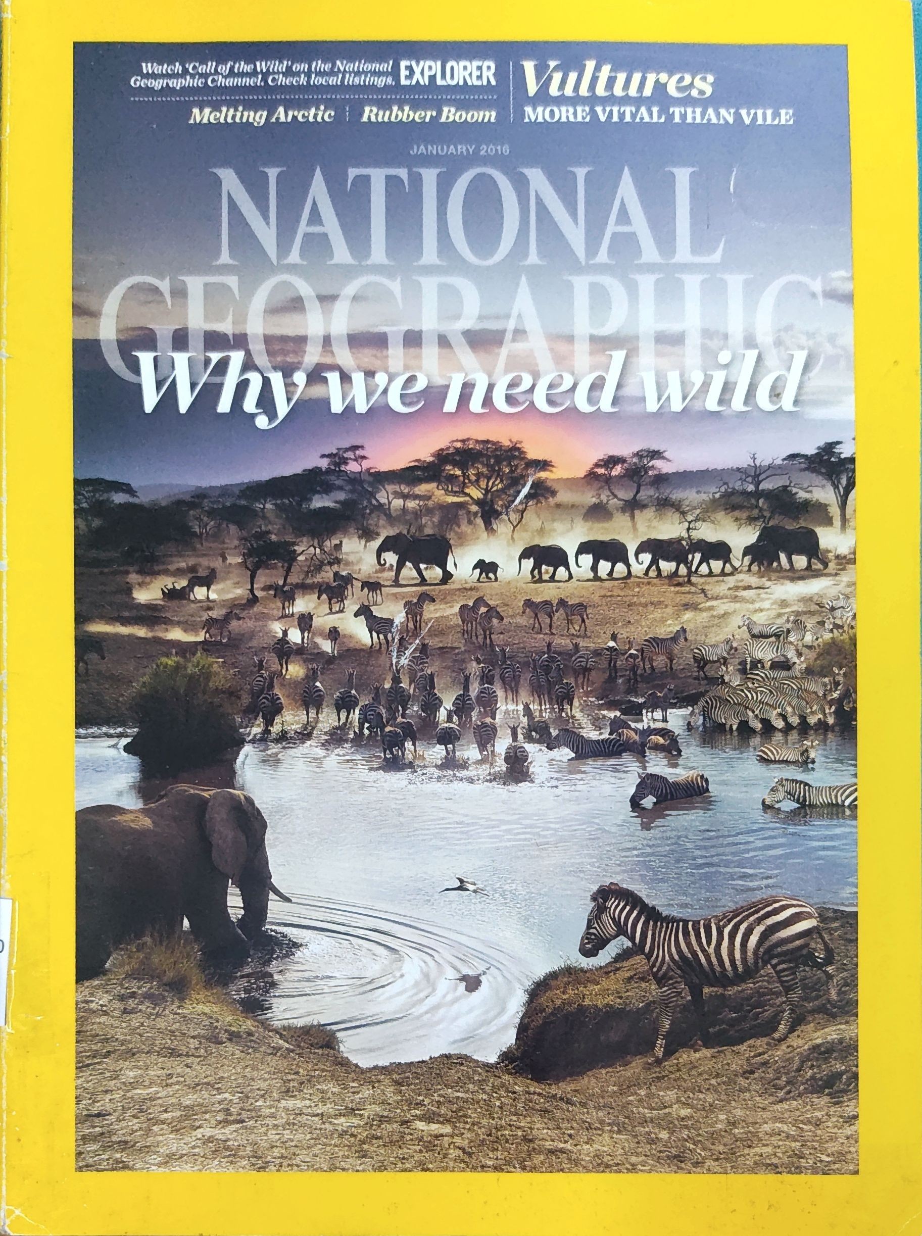 National Geographic - Why We Need Wild