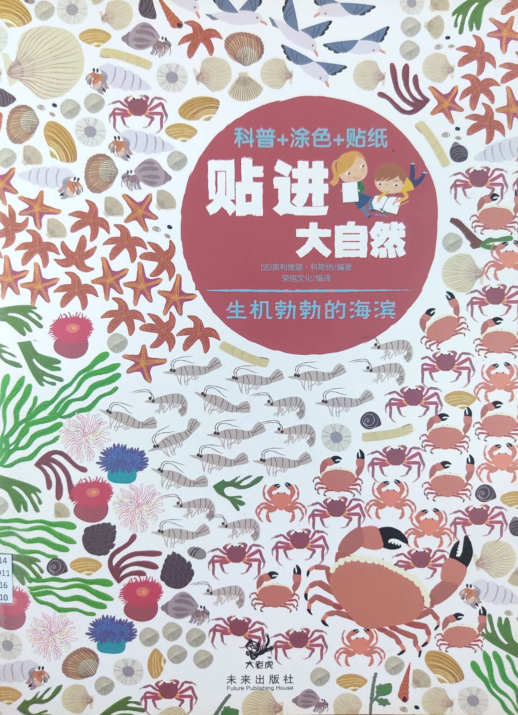 生机勃勃的海滨