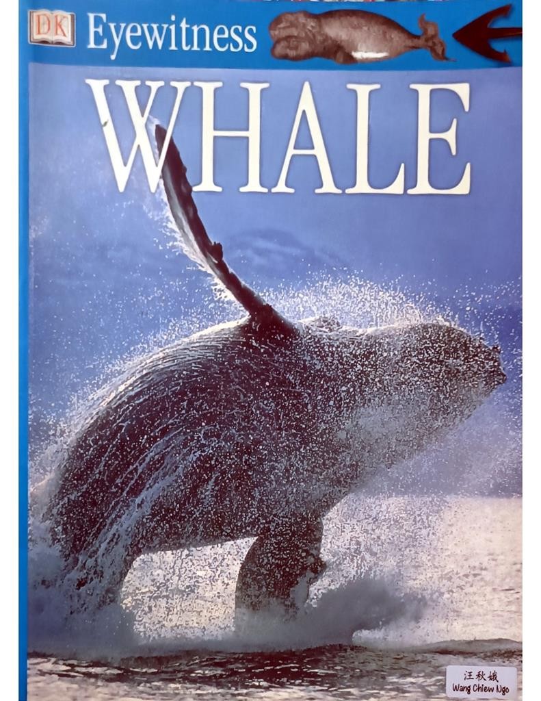Eyewitness Whale