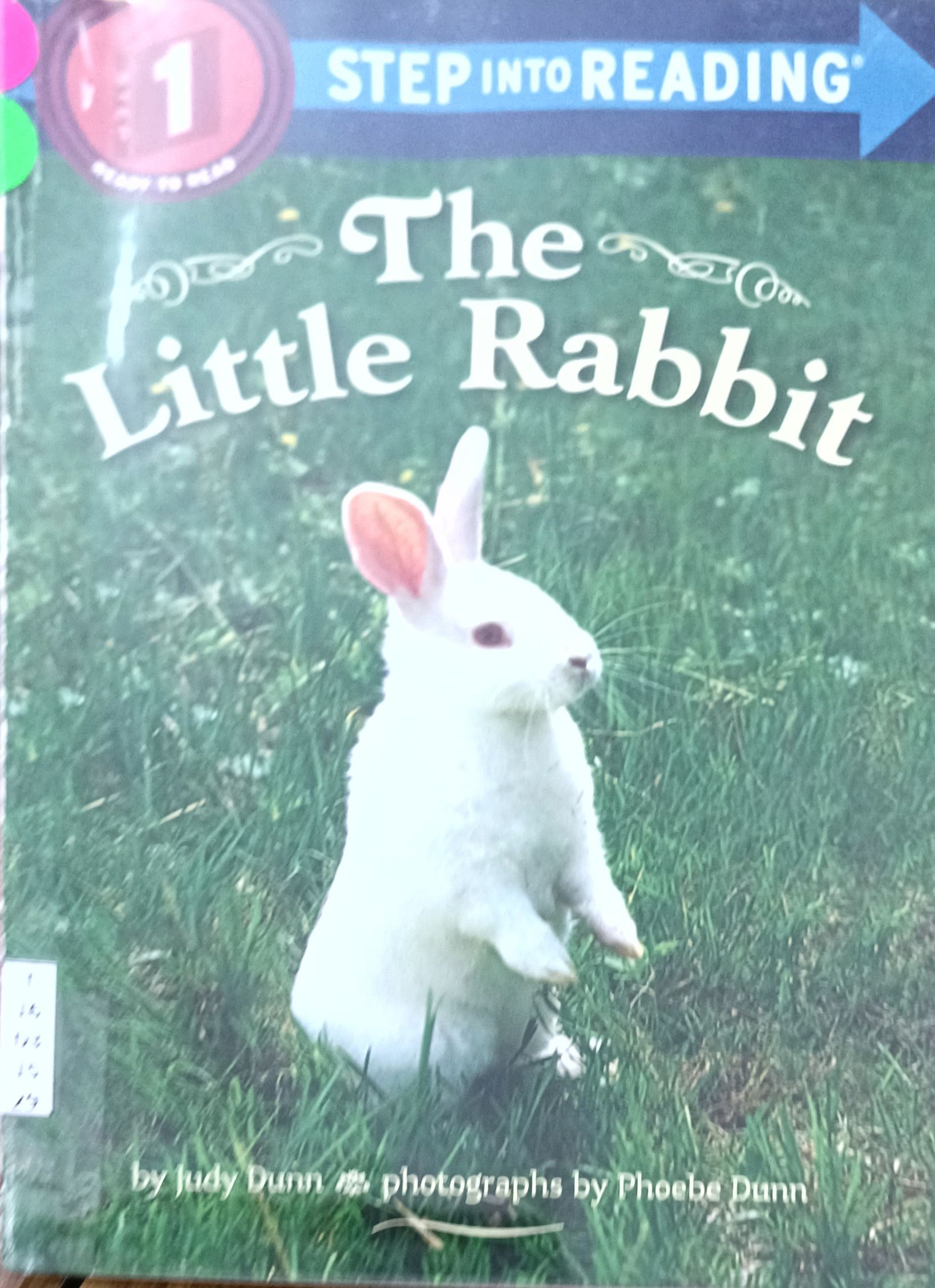 The Little Rabbit (Before FIAR)